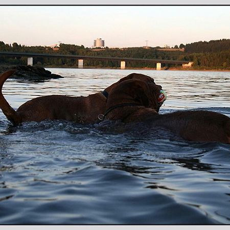 Bungalow Direkt Am Wasser Цойленрода Экстерьер фото